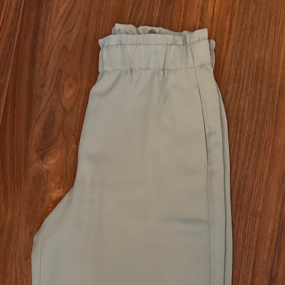 Ann Taylor Elegant light sea foam green silky Trousers